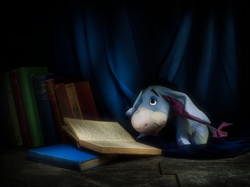 A photo of 'Educating Eeyore' by Julie Holbeche-Maund ARPS