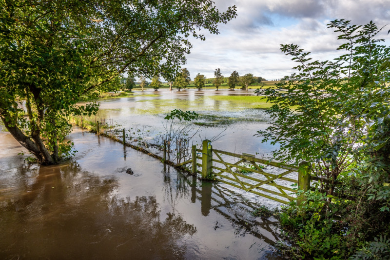 A photo of 'Flood at Congerstone' by Rob Jones