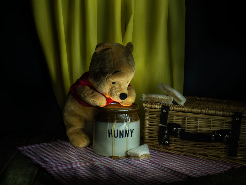 A photo of 'Pooh and Honey' by Julie Holbeche-Maund ARPS